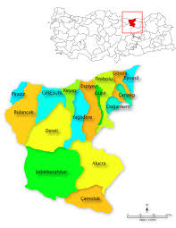 Giresun Danışmanlık Firmaları