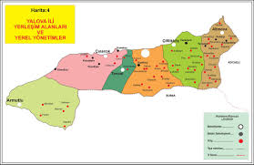 Yalova Danışmanlık Firmaları